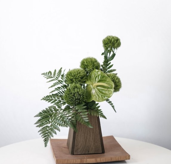 Portfolio Image