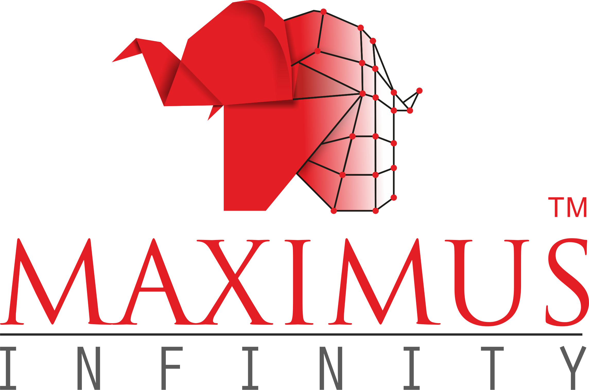 Maximus Infinity